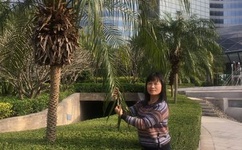 国剧盛典2015完整版高清